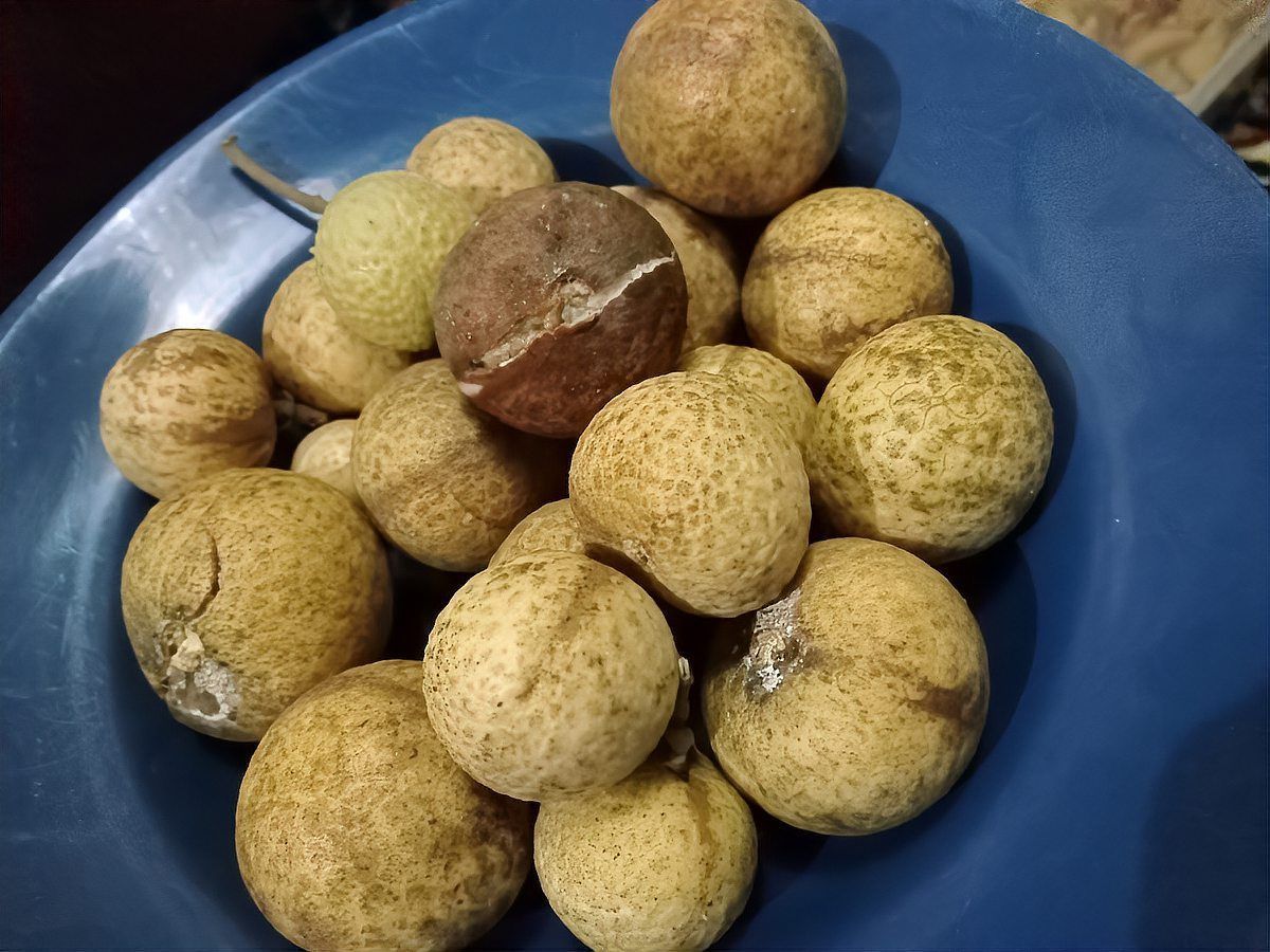 有哪些方法可以延長龍眼的貯藏時間，延長龍眼貯藏時間的方法多樣