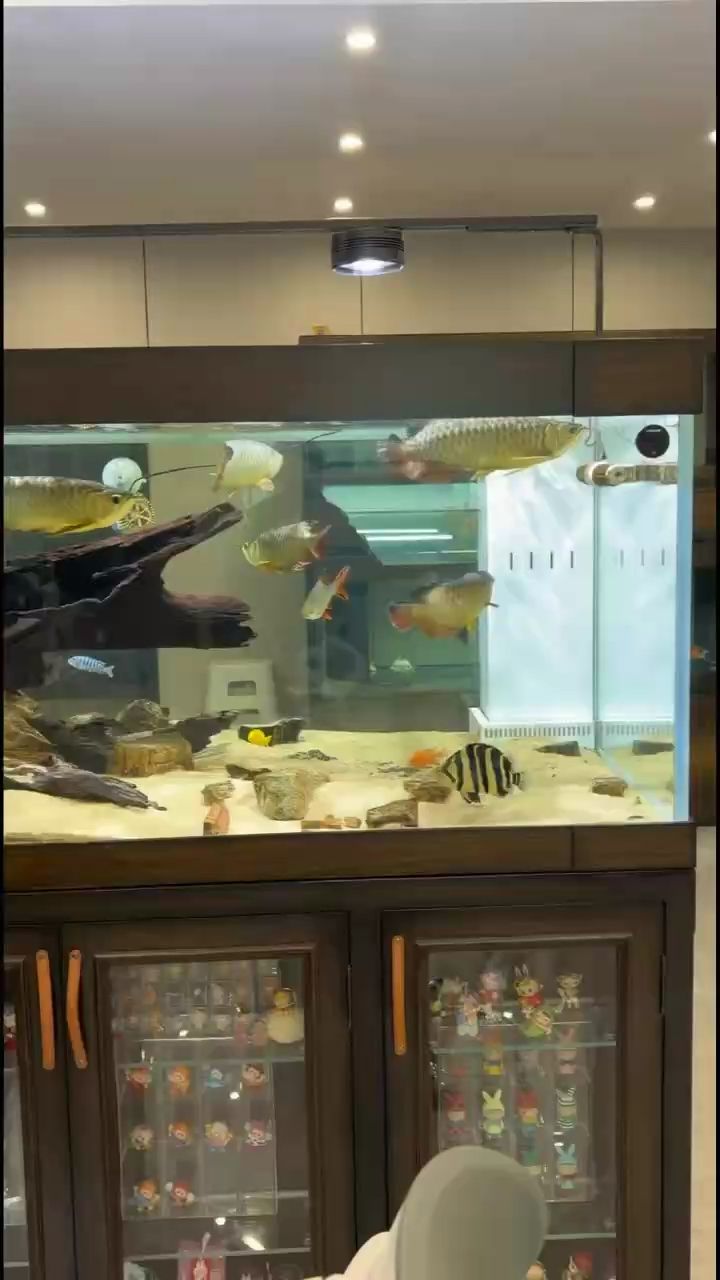 ，ai在教育領域的應用與發展