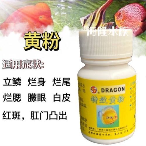 龍魚鰓蓋摔斷后能恢復(fù)嗎，龍魚鰓蓋摔斷后多久會恢復(fù) 龍魚鰓蓋摔斷后能恢復(fù)嗎，龍魚鰓蓋摔斷后多久會恢復(fù) 龍魚百科 第5張
