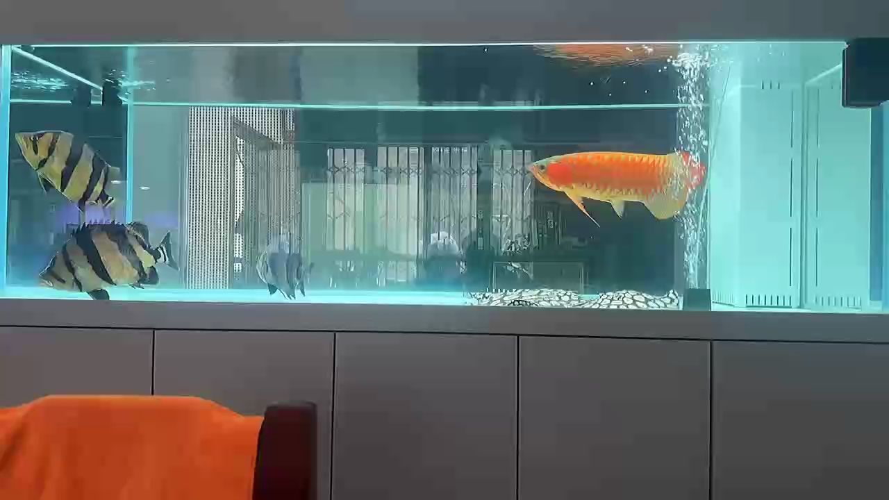 咦，人類對星辰大海的無盡追求
