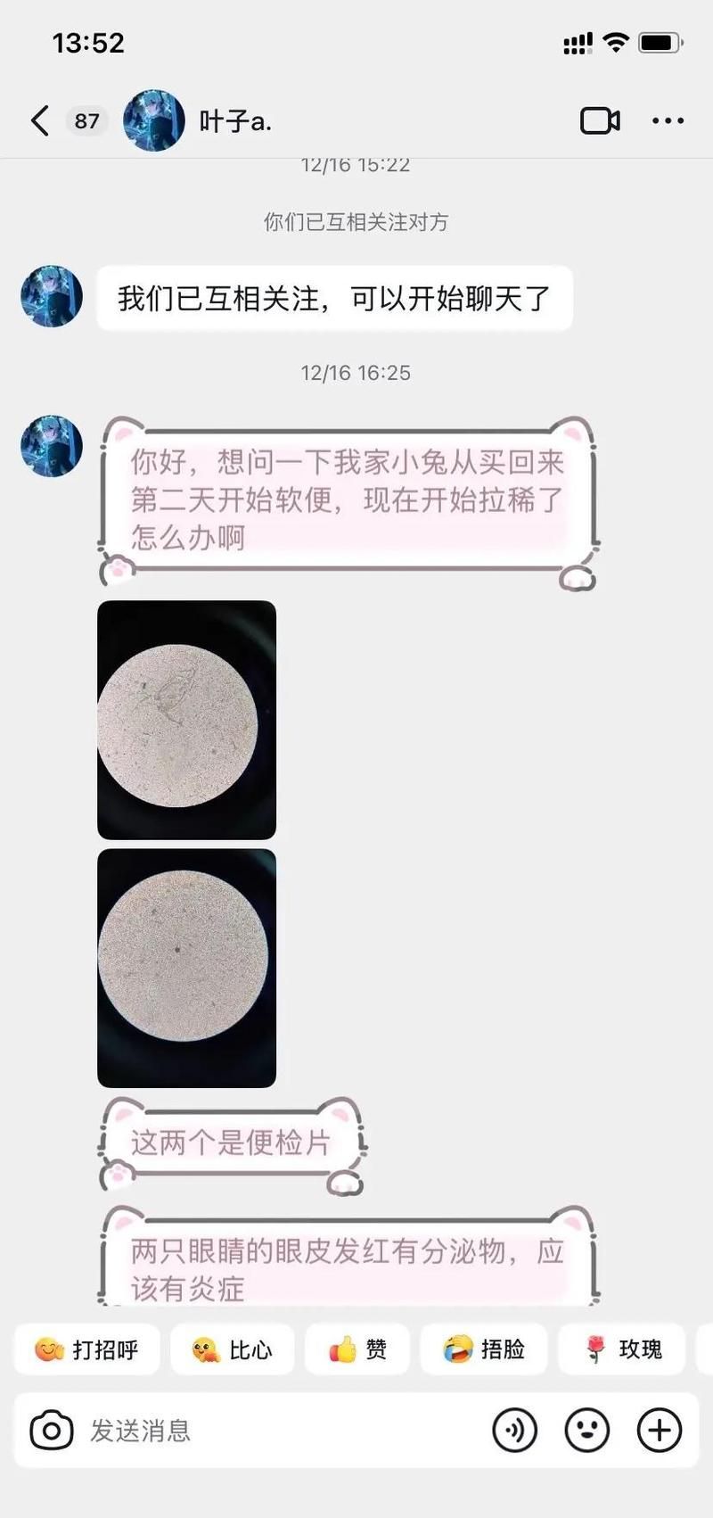 土霉素和青霉素的常用劑量是多少，土霉素和青霉素的使用指南