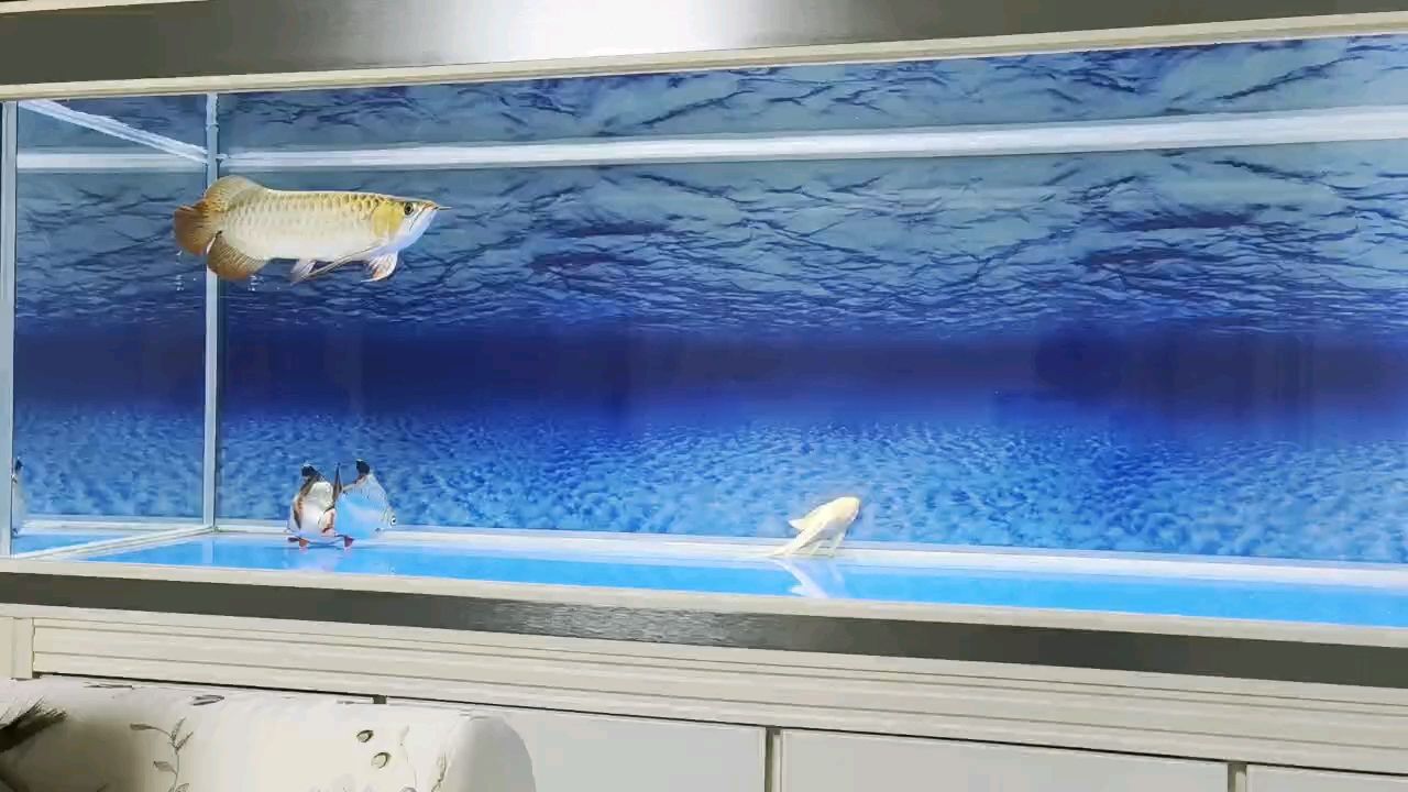第二天狀態挺好的，人們在經歷重大生活事件后第二天的狀態