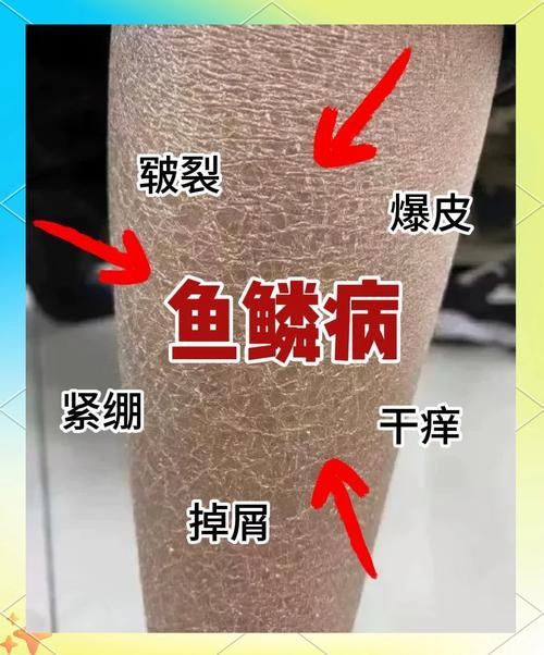 如何判斷黑鱗龍魚是否受到驚嚇，如何判斷黑鱗龍魚是否受到了驚嚇