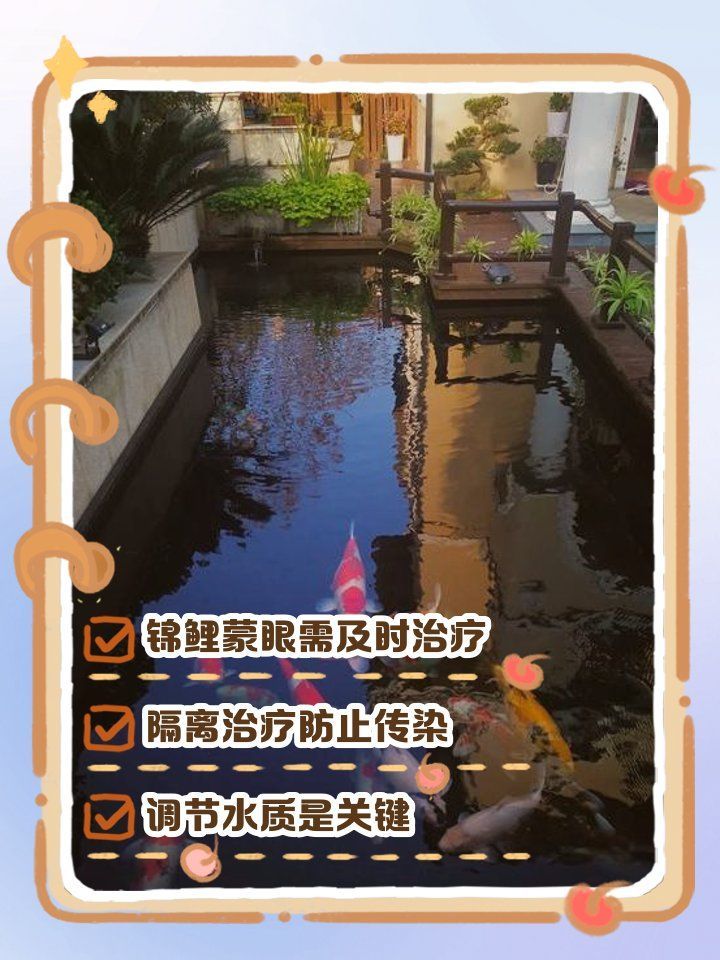 錦鯉蒙眼病多久會(huì)自愈，錦鯉蒙眼病處理指南
