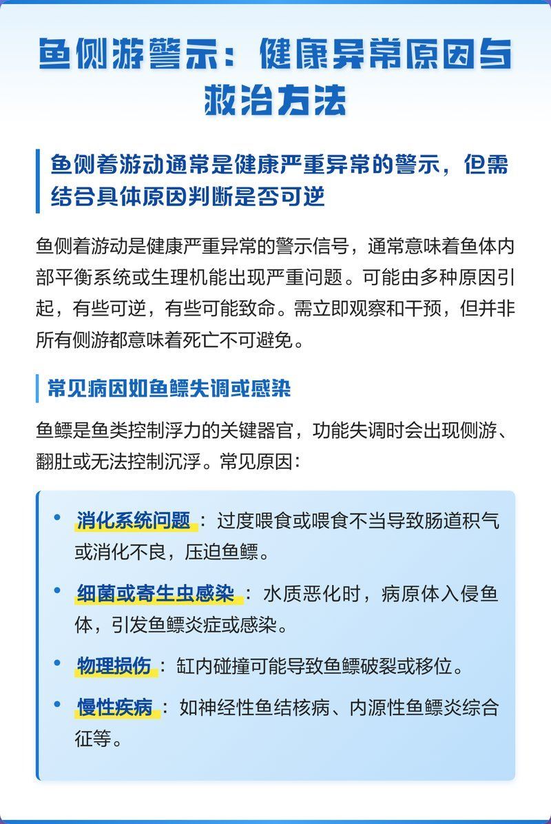 如何判斷龍魚側游是否嚴重？，龍魚側游是否嚴重