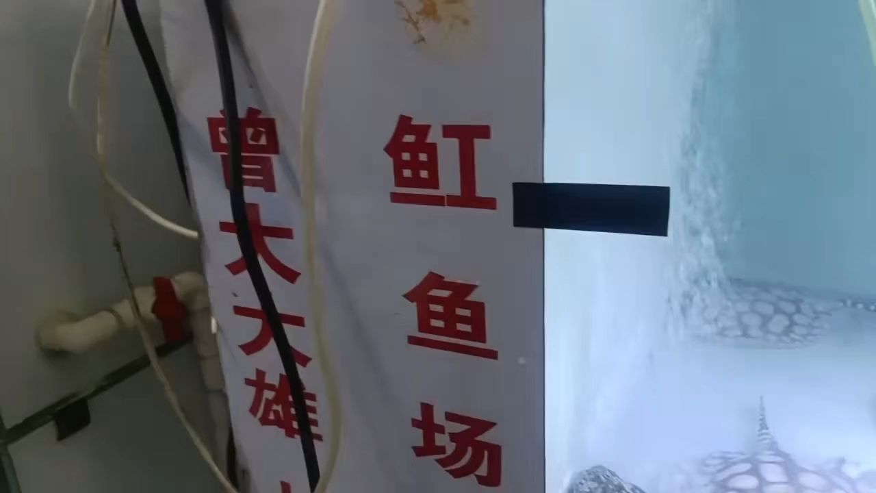 簽到，blazers17評論：簽到系統在企業中的應用與挑戰