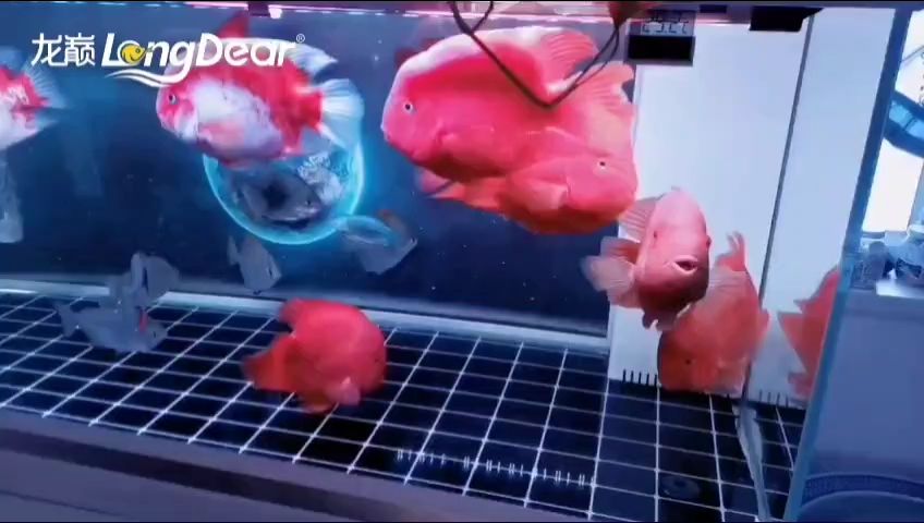 事事順遂，會越來越好，南無阿彌陀佛??????，\