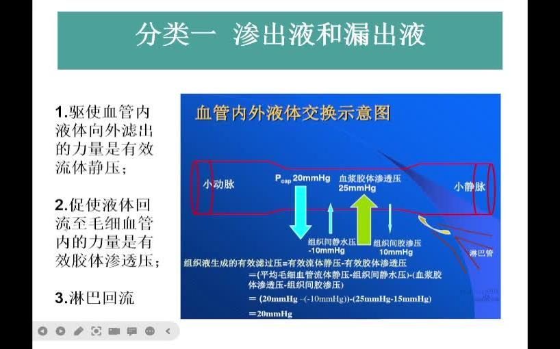 如何區分雷龍腹水和其他類型腹水，“雷龍腹水”與“血性”在口語中可能存在音近誤 如何區分雷龍腹水和其他類型腹水，“雷龍腹水”與“血性”在口語中可能存在音近誤 龍魚百科 第2張