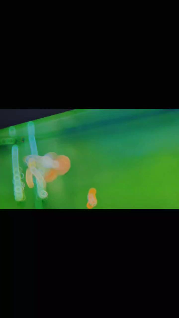 隨手拍，_小金龍評論：生活中的瞬間和自然美