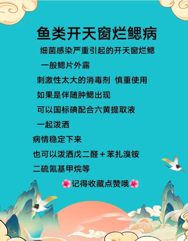 如何預防鰓蓋爛洞病的發生，草魚鰓蓋爛洞病的預防