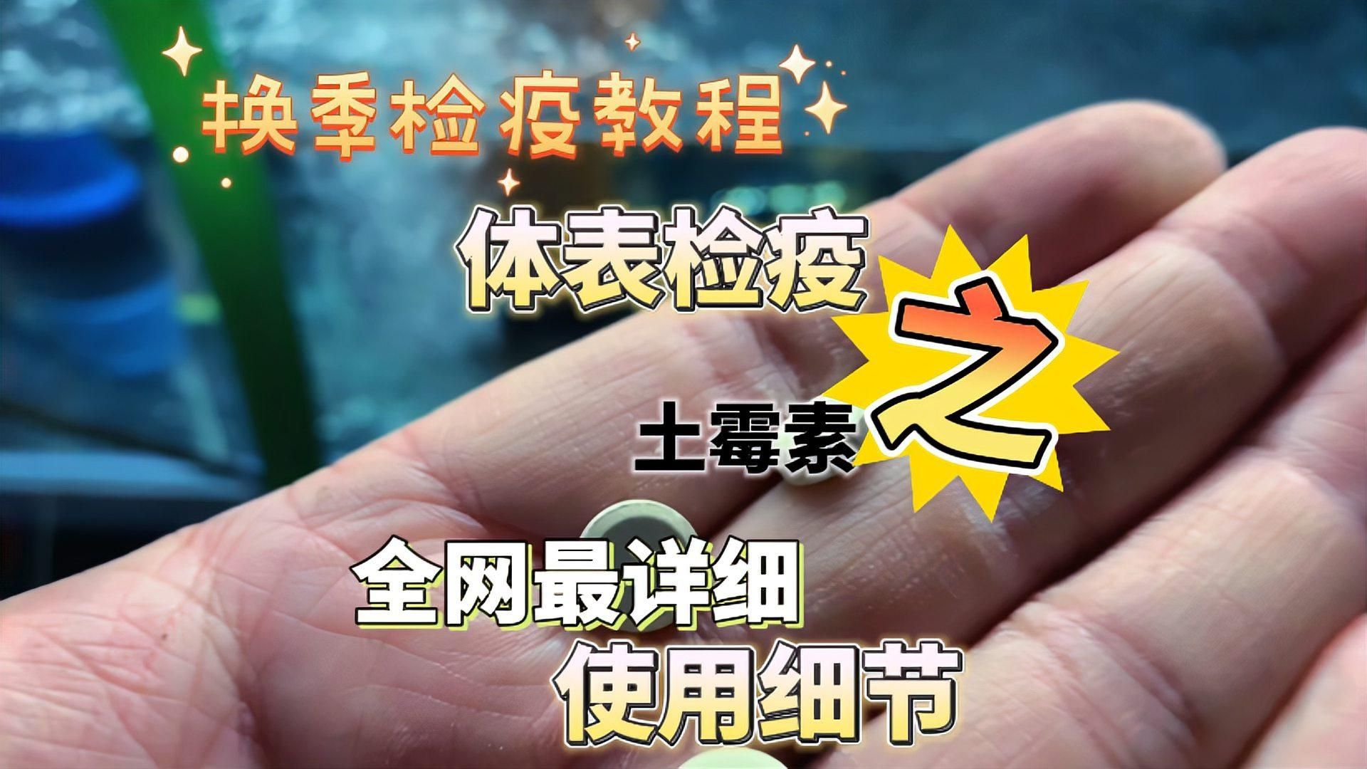 土霉素對龍魚的副作用有哪些，土霉素對觀賞魚的副作用 土霉素對龍魚的副作用有哪些，土霉素對觀賞魚的副作用 龍魚百科 第6張