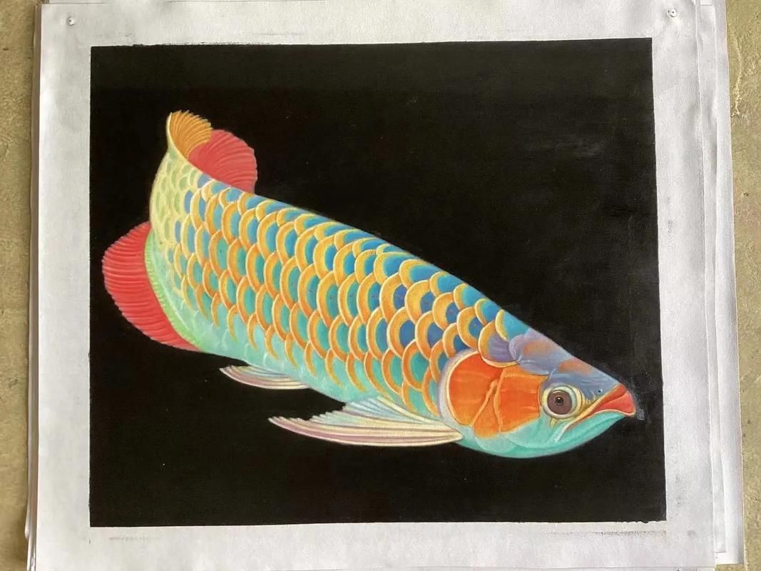 如何鑒別真假油畫金龍魚，如何鑒別油畫金龍魚