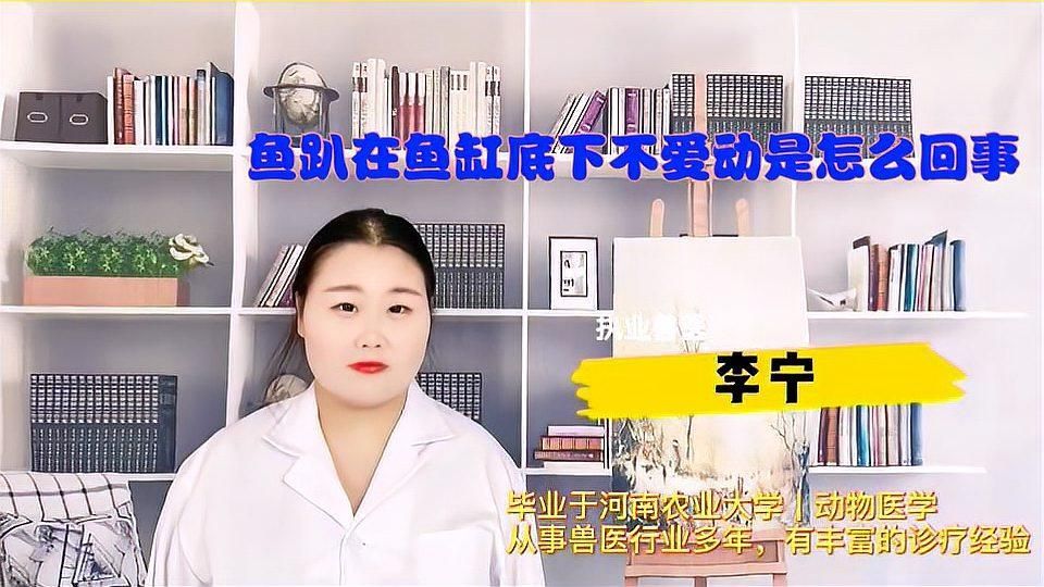 魚兒趴缸底多久會死，養魚筆記第3季95集養魚志01:06魚趴在魚缸底下不愛動是怎么回事
