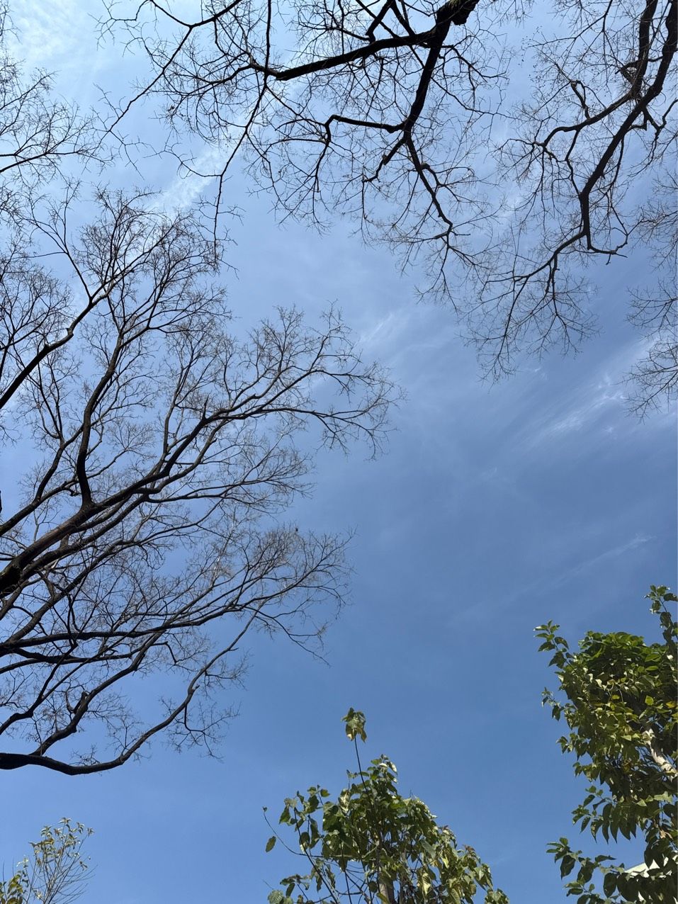 變天了嗎，變天了嗎？