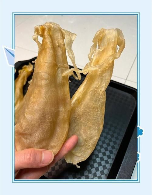 這些世界上最貴的食用魚有哪些營養價值，世界上最貴的食用魚