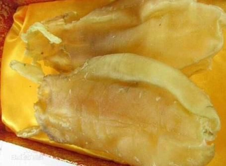 這些世界上最貴的食用魚有哪些營養價值，世界上最貴的食用魚