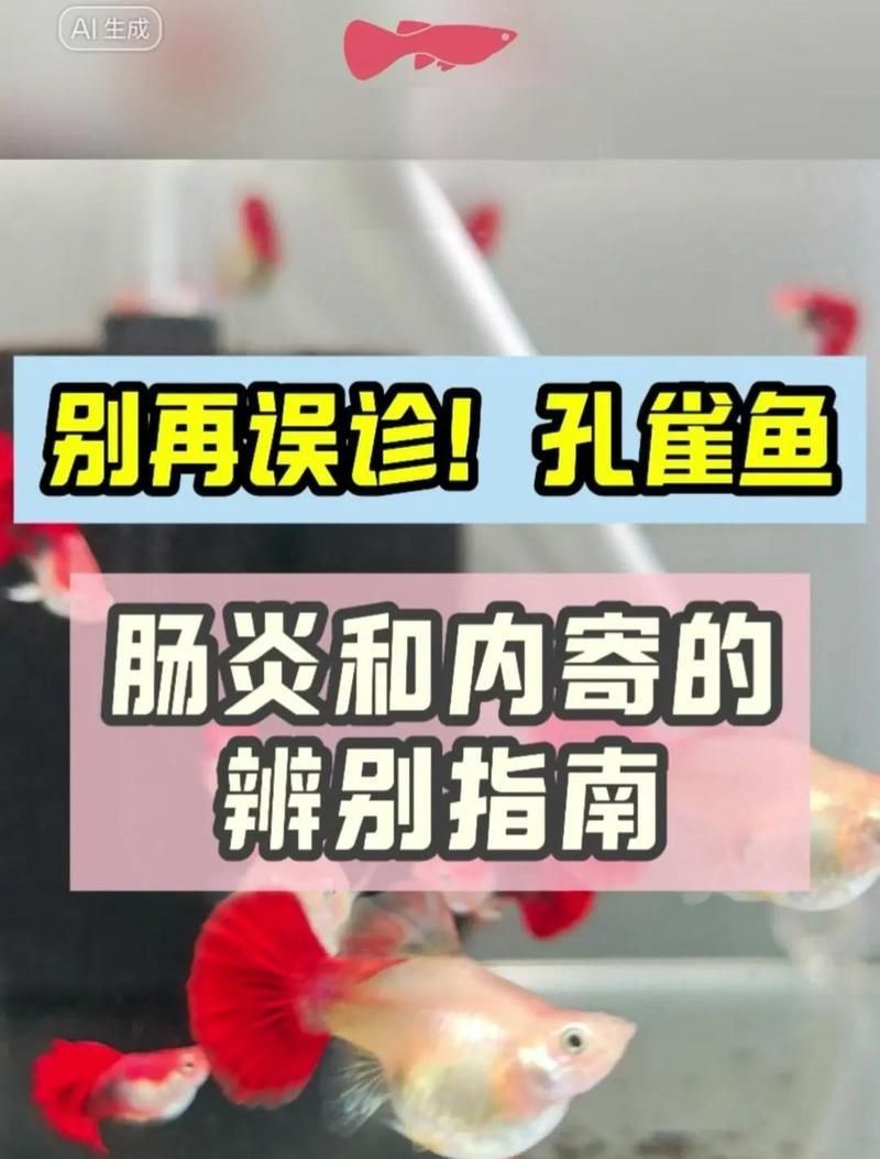 如何判斷魚(yú)是否得了內(nèi)寄或腸炎，白便、拖便、漂便、拖便、拖便、漂便、拖便、漂便、漂便