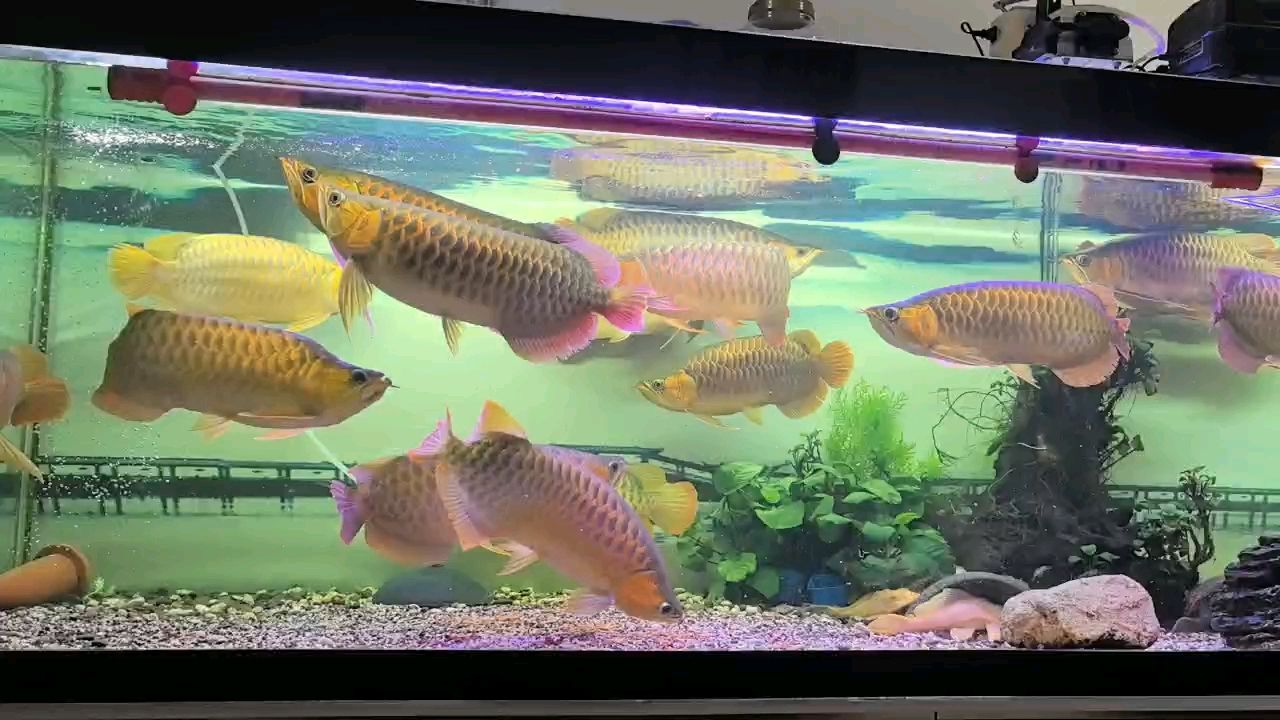好久沒發了。，創作者應該如何保持創作熱情