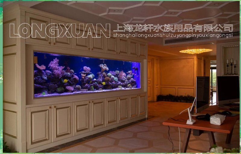 魚缸光源中還有哪些類型？，如何選擇適合海水缸的光源？