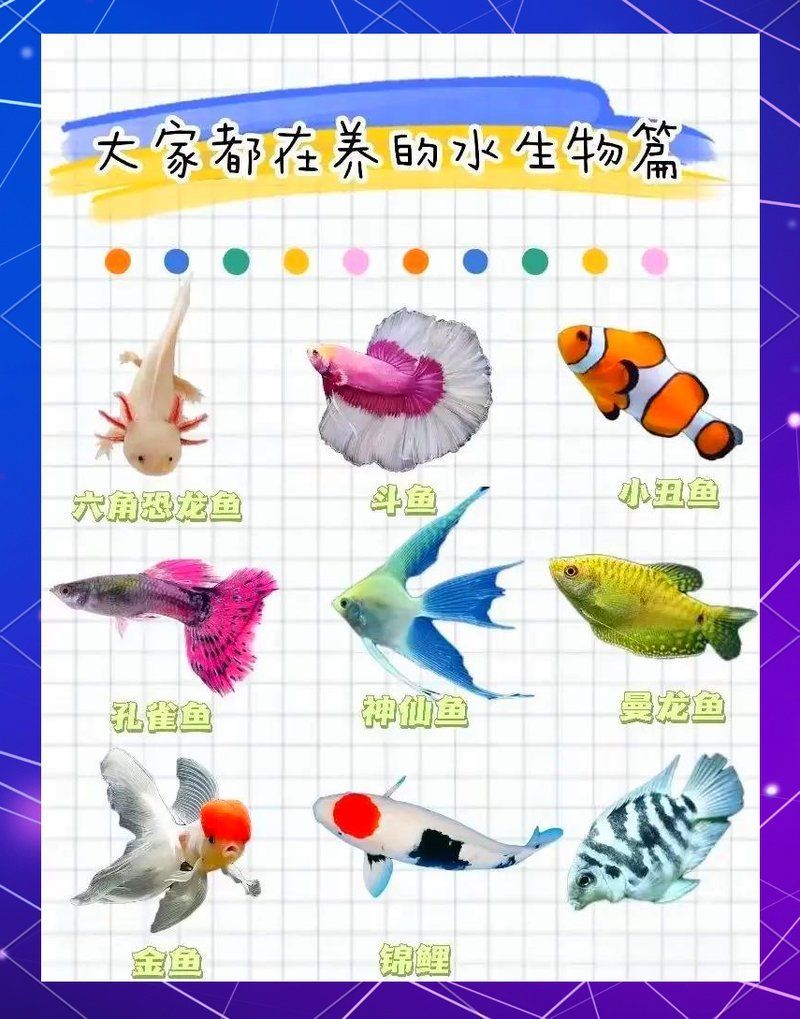哪些魚(yú)適合家庭飼養(yǎng)，家庭養(yǎng)什么樣的魚(yú)好？