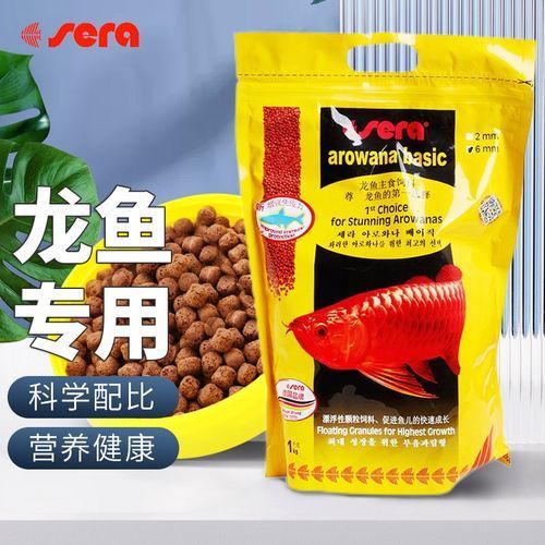 有哪些品牌飼料適合過背金龍，背金龍的飼料品牌飼料品牌飼料品牌推薦：金龍魚飼料