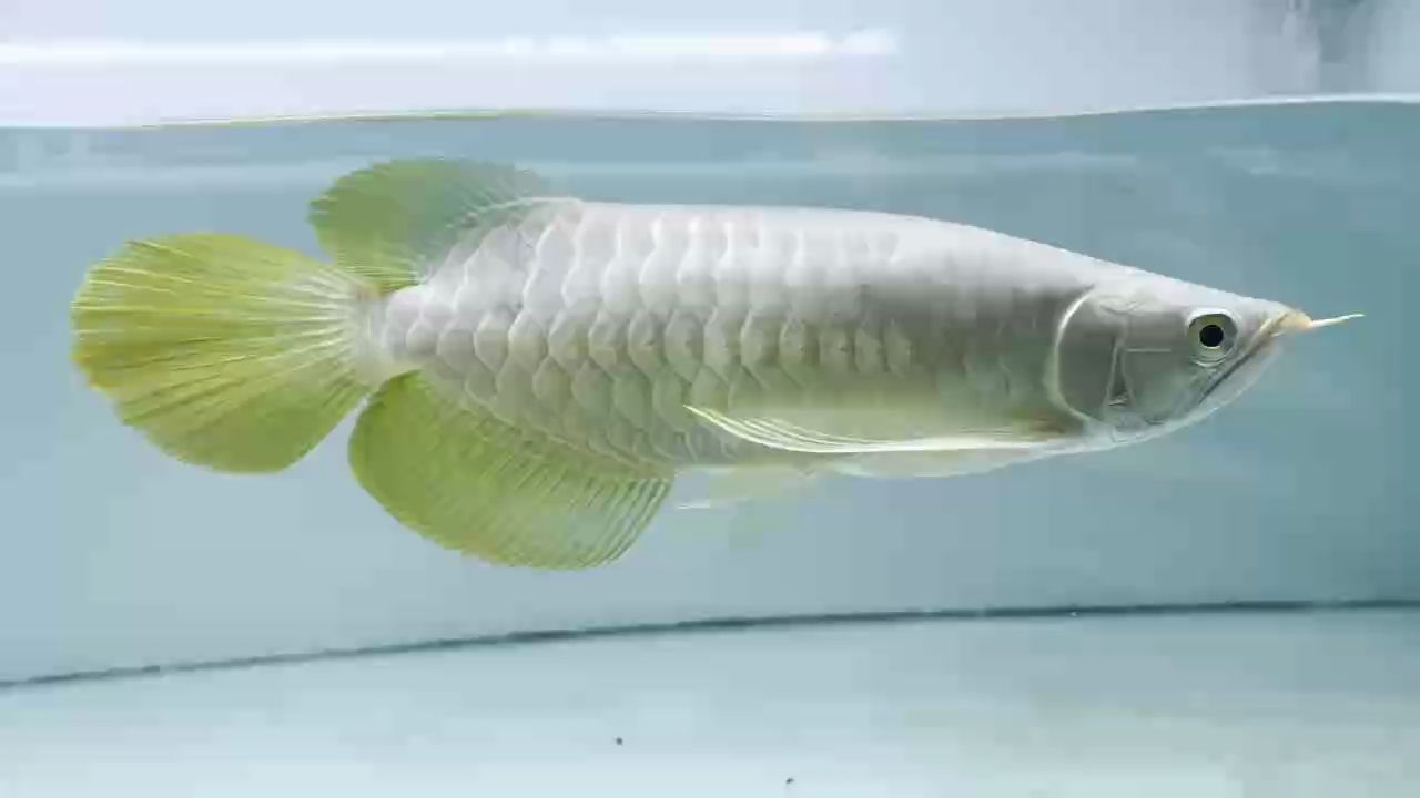 看看今年參加比賽去，我是一名編程專業的學生