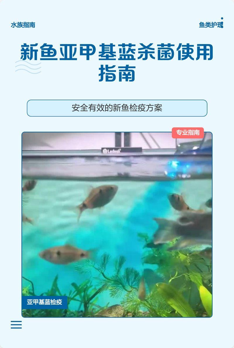 黃粉和甲基藍的用量如何控制，何和甲基藍（甲基藍（甲基藍（methyleneblue）