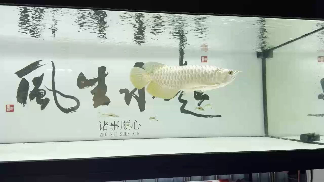 ，一拳一個(gè)鷹鷹怪評(píng)論：探索未來(lái)科技的無(wú)限可能，隨著科技的飛速發(fā)展 ，一拳一個(gè)鷹鷹怪評(píng)論：探索未來(lái)科技的無(wú)限可能，隨著科技的飛速發(fā)展 龍魚論壇