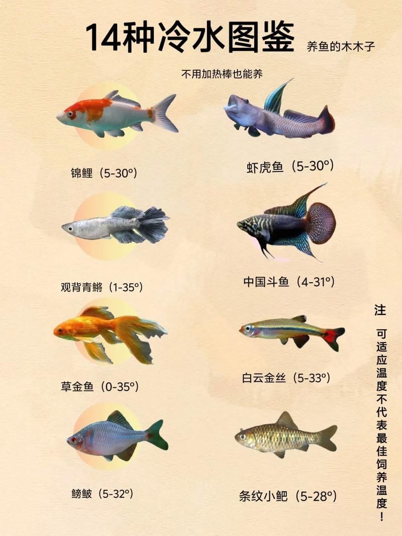 如何判斷水質(zhì)是否適合冷水觀賞魚，冷水觀賞魚水質(zhì)是否適合冷水觀賞魚（1000字詳解+配圖指南）