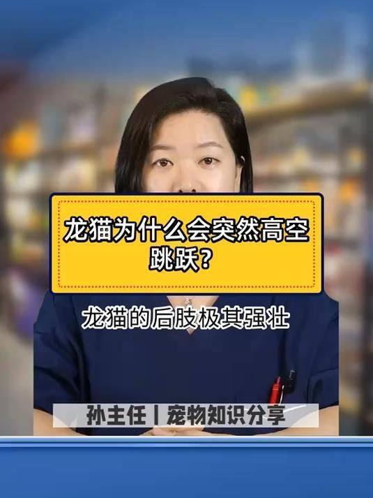 龍貓需要哪些運動，龍貓的運動方式