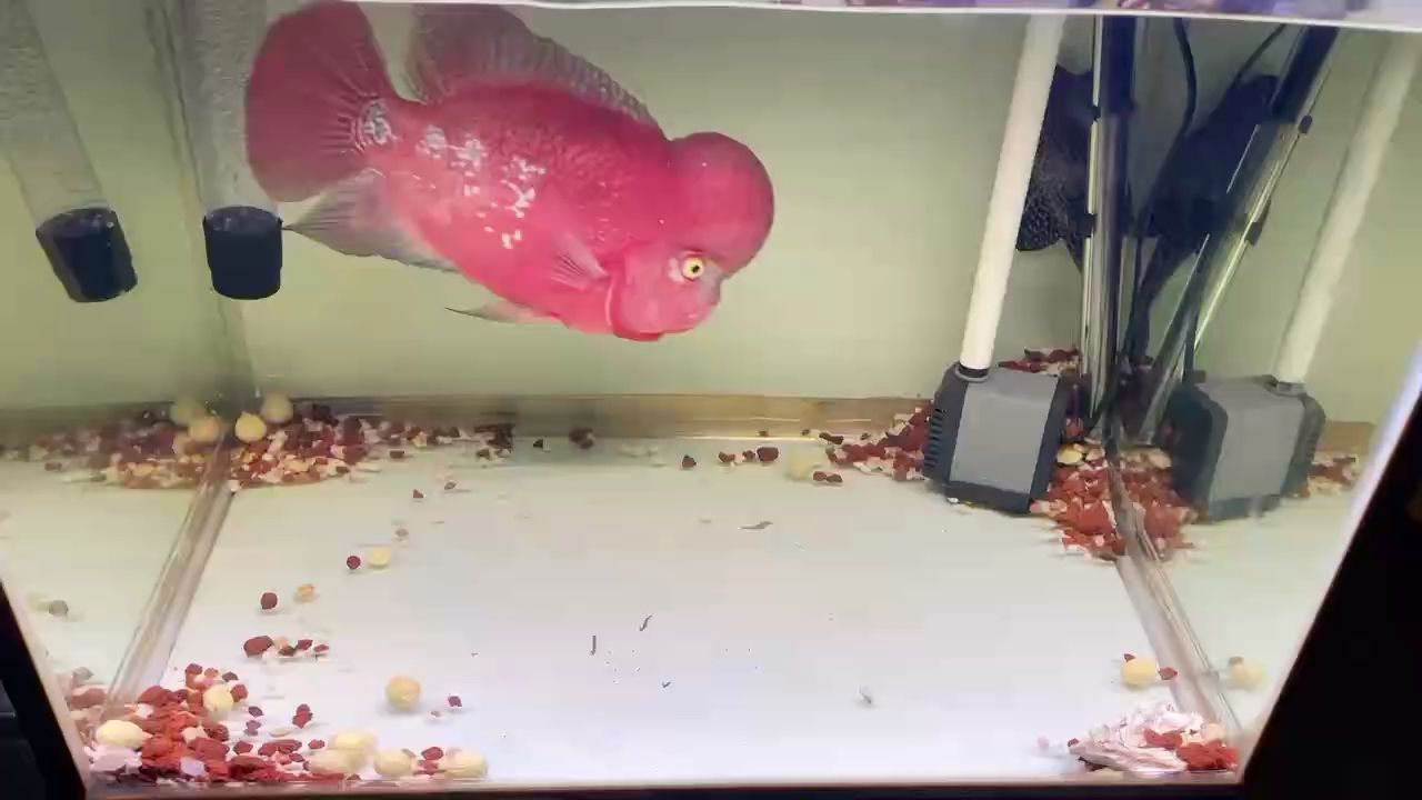 彩虹，彩虹的出現原理