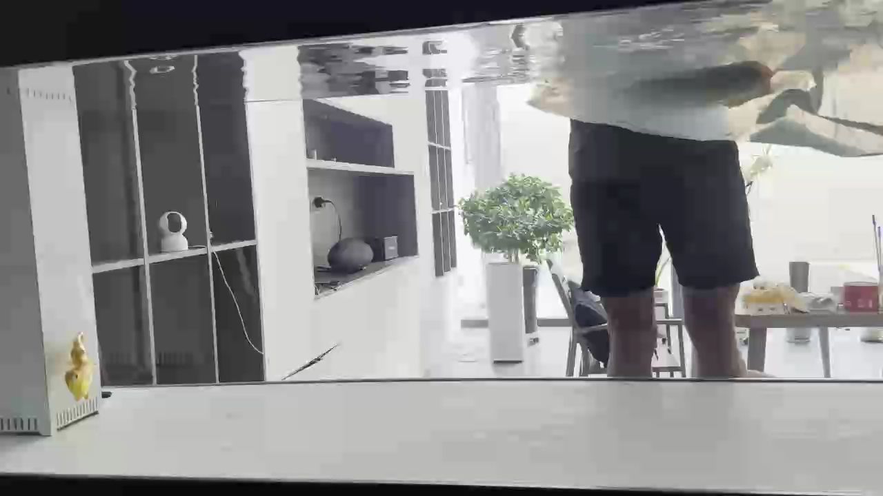 入條萬隆天王的小紅龍 記錄下，《入條萬隆天王的小紅龍記錄》