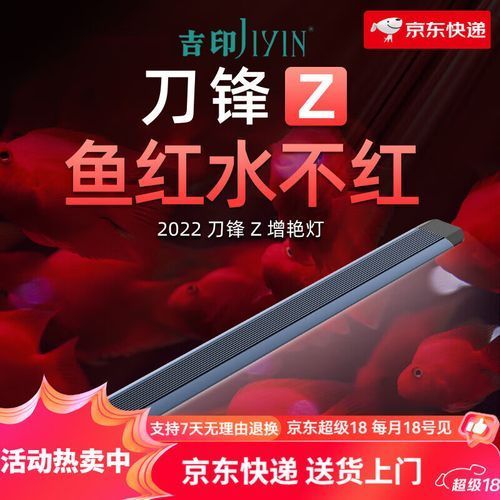 紅龍魚哪個品牌燈性價比最高，紅龍魚燈光選購攻略