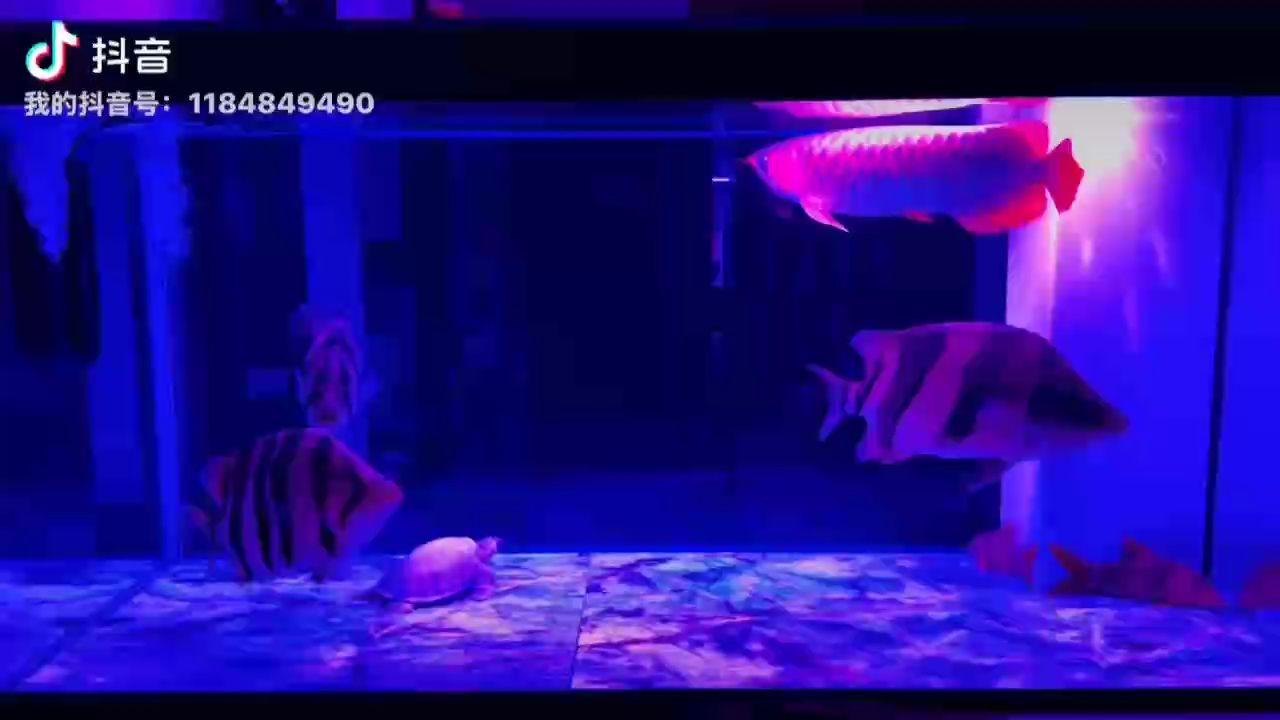 夜幕下的美！，夜晚的城市充滿了活力與溫馨
