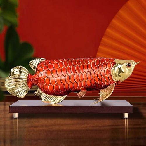 能否提供更多關于紅龍魚招財?shù)膱D片，紅龍魚招財有科學依據(jù)嗎
