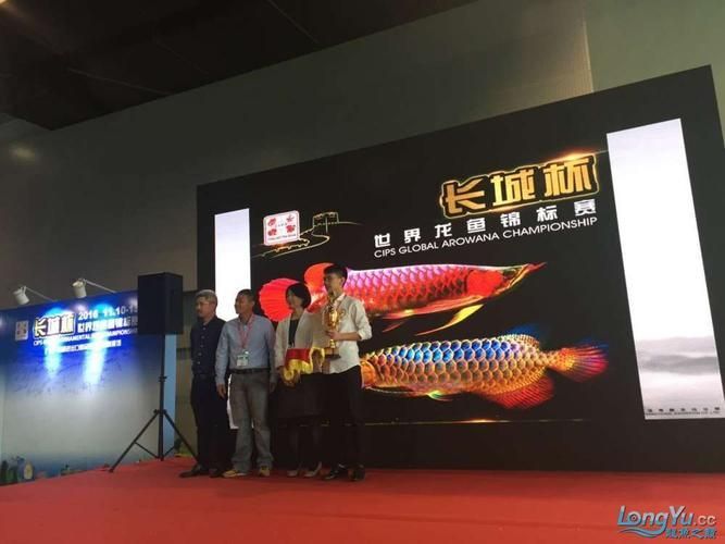 祥龍魚場在CIPS2025有何參展計劃？，cips2025國際寵物水族展覽會 祥龍魚場在CIPS2025有何參展計劃？，cips2025國際寵物水族展覽會 龍魚百科 第3張