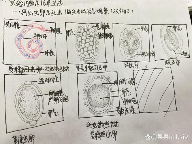 如何預防鲅魚寄生蟲感染，預防鲅魚寄生蟲感染