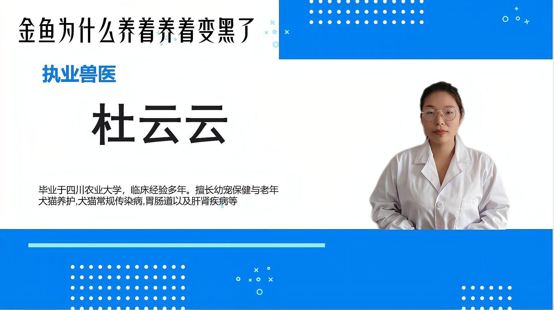 如何判斷金魚發黑的原因，金魚為什么會發黑 如何判斷金魚發黑的原因，金魚為什么會發黑 龍魚百科 第2張