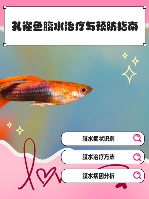 能否提供更多關于魚腹水的圖片，關于魚腹水的知識