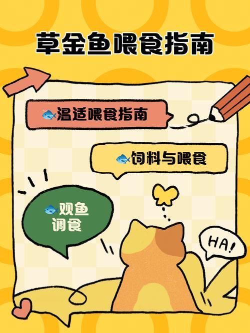 如何預防魚兒生病，西安地區溫帶季風氣候（note）預防魚類疾病的科學方法 如何預防魚兒生病，西安地區溫帶季風氣候（note）預防魚類疾病的科學方法 龍魚百科 第8張