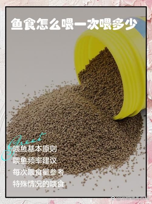 如何預防魚兒生病，西安地區溫帶季風氣候（note）預防魚類疾病的科學方法 如何預防魚兒生病，西安地區溫帶季風氣候（note）預防魚類疾病的科學方法 龍魚百科 第11張