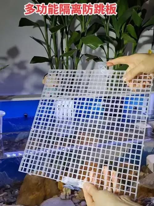 如何預防魚兒生病，西安地區溫帶季風氣候（note）預防魚類疾病的科學方法 如何預防魚兒生病，西安地區溫帶季風氣候（note）預防魚類疾病的科學方法 龍魚百科 第17張
