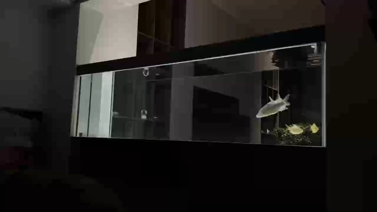 重新養水啦，重新養水啦，隨著季節的更替，水體環境亦需適時調整以保持生態平衡 重新養水啦，重新養水啦，隨著季節的更替，水體環境亦需適時調整以保持生態平衡 龍魚論壇