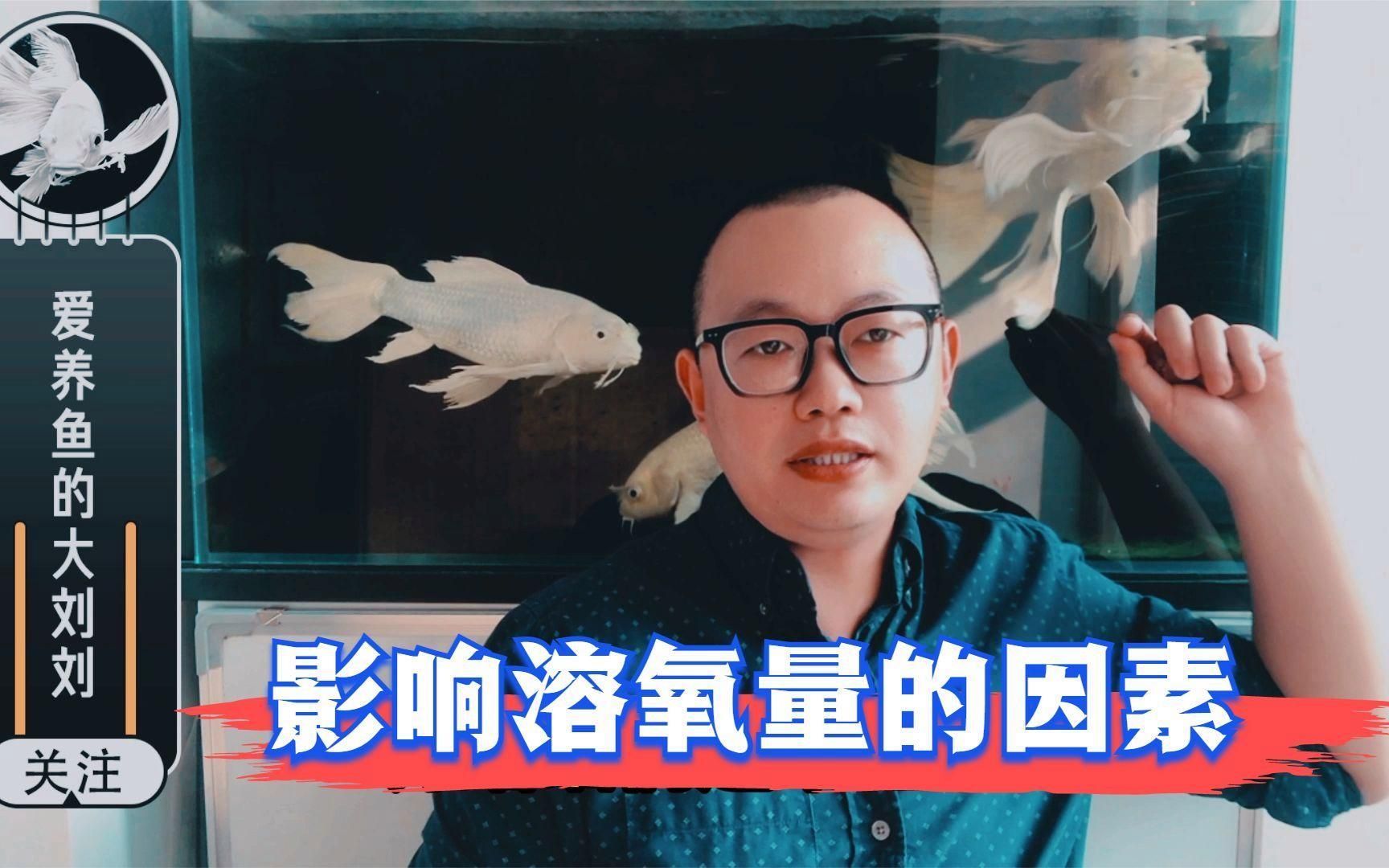 如何增加水中的溶氧量，如何提高水中溶氧量