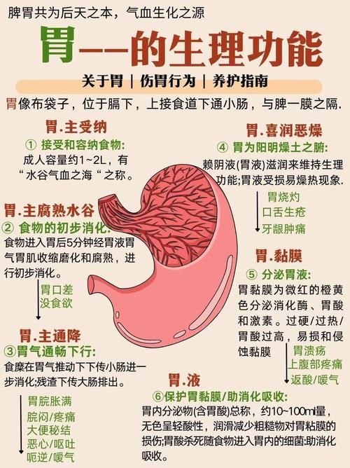 能再詳細分析幾個拒食原因嗎，厭深入探討拒食現象 能再詳細分析幾個拒食原因嗎，厭深入探討拒食現象 龍魚百科 第8張