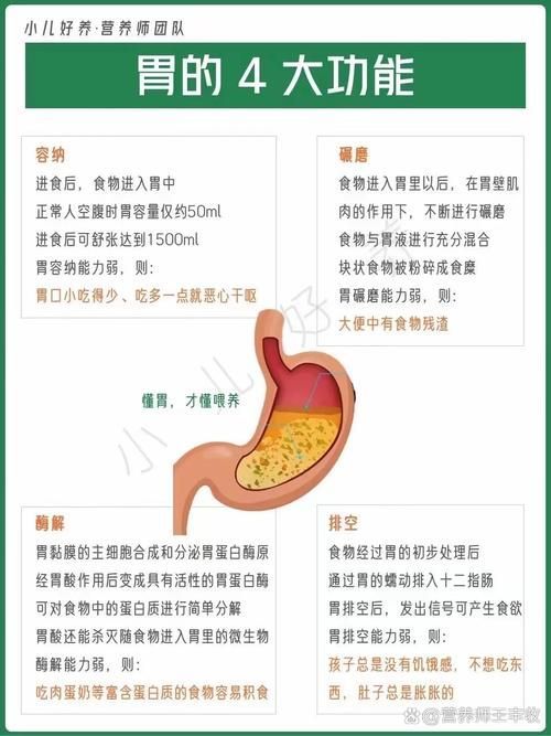 能再詳細分析幾個拒食原因嗎，厭深入探討拒食現象 能再詳細分析幾個拒食原因嗎，厭深入探討拒食現象 龍魚百科 第12張