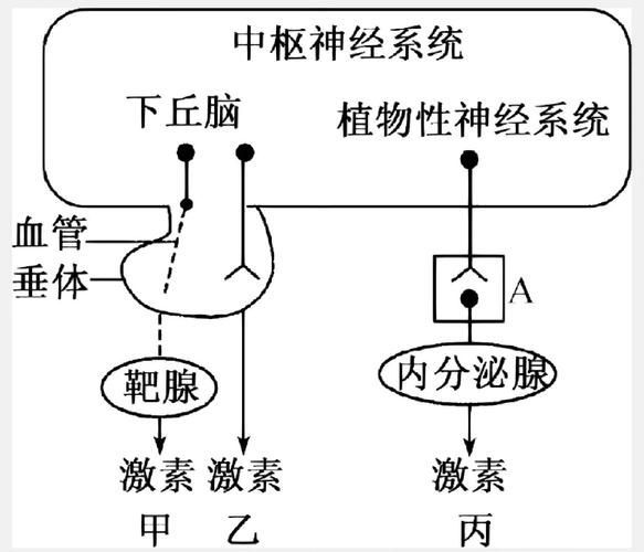能再詳細分析幾個拒食原因嗎，厭深入探討拒食現象 能再詳細分析幾個拒食原因嗎，厭深入探討拒食現象 龍魚百科 第2張