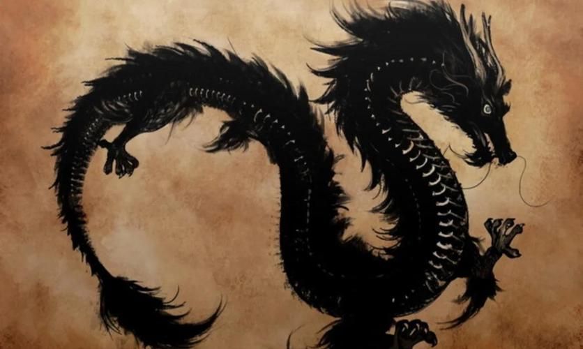 能否提供更多關(guān)于黑龍的圖片，關(guān)于黑龍的圖片特征和可能的視覺內(nèi)容
