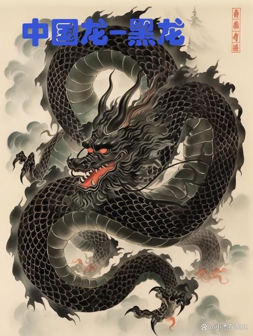 能否提供更多關(guān)于黑龍的圖片，關(guān)于黑龍的圖片特征和可能的視覺內(nèi)容