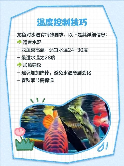 如何預(yù)防龍魚鰓蓋潰爛復(fù)發(fā)，思考完成龍魚鰓蓋潰爛復(fù)發(fā)預(yù)防全流程詳解（arxiv論文助手）